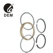 Renault OD-RE10 810.01-10 R10 R5LS R5TS R5GTL R12TL পিস্টন রিং তেল রিং